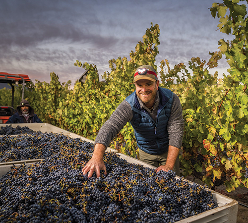 man in wineyard